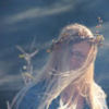 the_amber_light